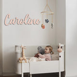 Personalized Acrylic Plate Name Sign丨Customized Acrylic Plate Name Letters