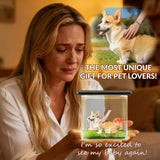 Personalized 3D HolographicPet Memorial Box CustomDog Memorial GiftsCustomized Pet HologramDog House with Name High-Transmittance Display forPet Lovers DesktopOrnaments