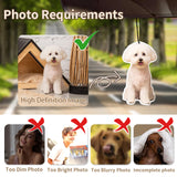 3 Pcs Personalized Air Freshener