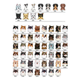 Personalized Pet Doormat, Customised Dog Floor Mat